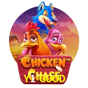 Y1 GOOD — Chicken Chase crash game | Play on Android APK & iPhone for real money | Hacksaw Gaming
